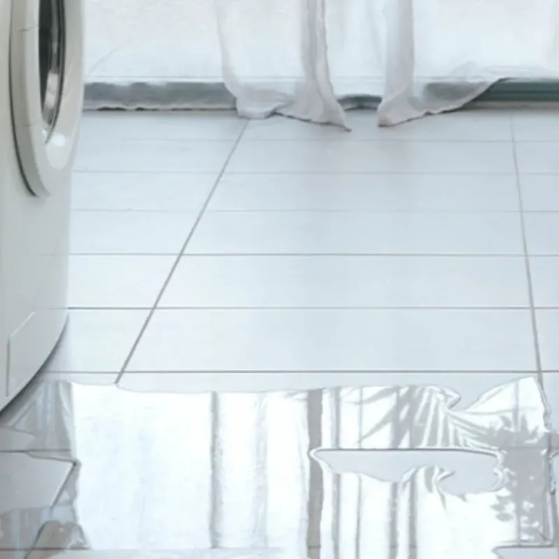 Appliance Leak Cleanup in Arcade, GA